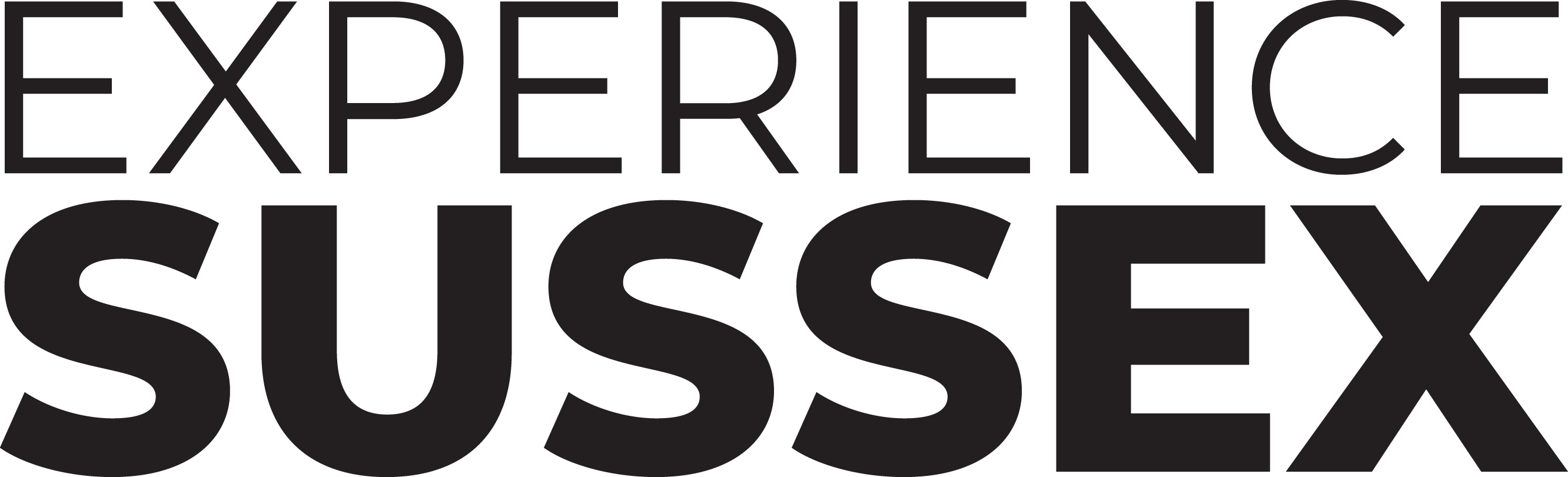 Experience Sussex Logo